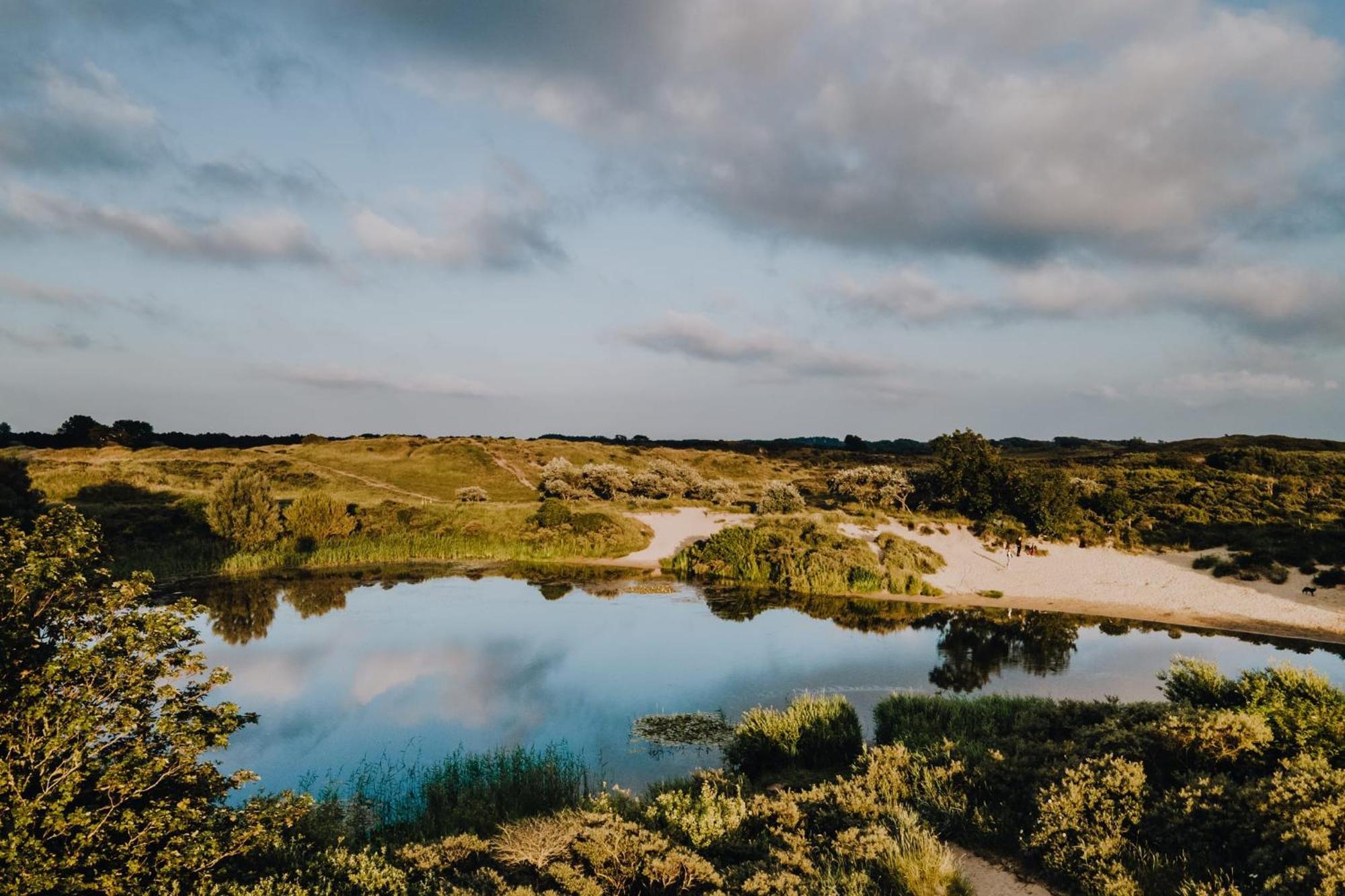 Beach Dreams Daire Zandvoort Dış mekan fotoğraf